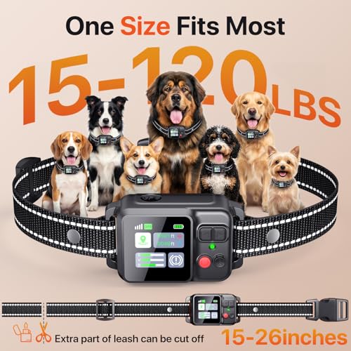 Wireless Dog Fence System (Black)
