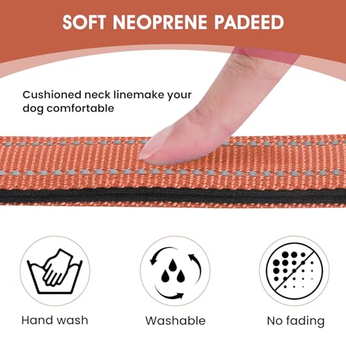 Reflective Dog Collar (Coral / L:width 1"neck 17.5-27")