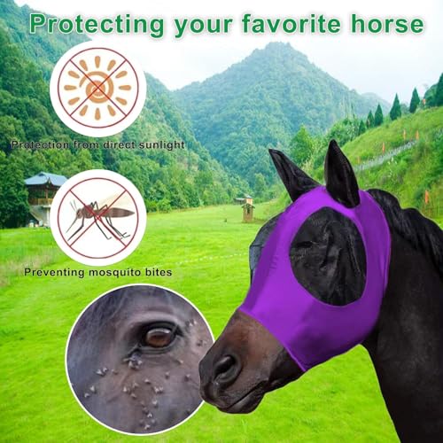 Horse Fly Mask with Ears (Purple / Medium (for 13hh-15hh))
