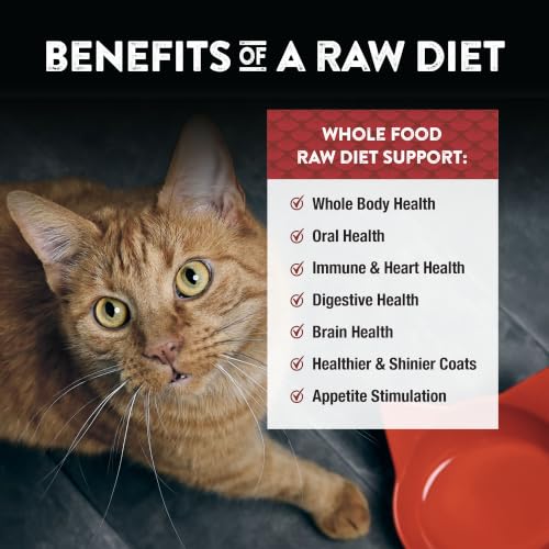 Freeze Dried Beef & Trout Cat & Kitten Food (11 Ounce (Pack of 1))