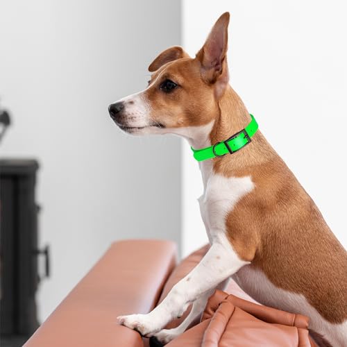Biothane Waterproof Dog Collar Strong Coated Nylon Webbing with Black Hardware Odor (W1/2" x L9-12" / Tropical Green)