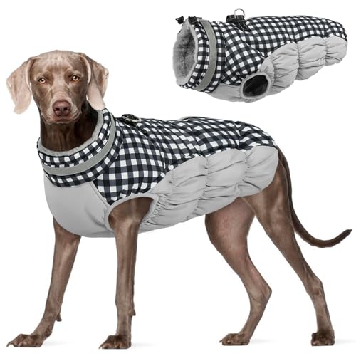 Dog Coat for Large Dogs (Checkerboard / XXXL(chest:43in))