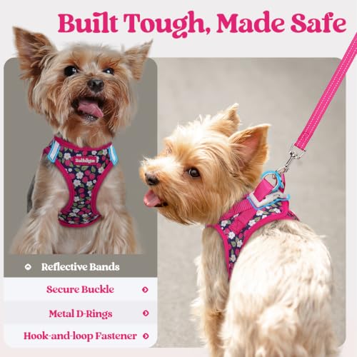 Dog Harness Small Sized and Leash Set (Pink Berry / Xs (chest: 13.3 - 15.5"))