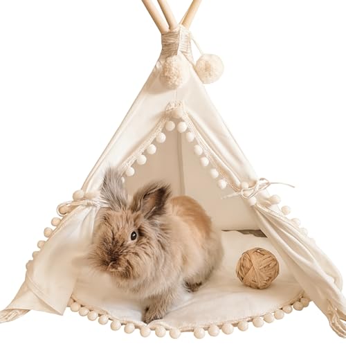 Pet Teepee Tent with Padded Mat (Extra Small)