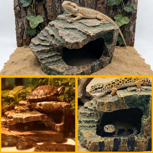 Medium Turtles Basking Platform
