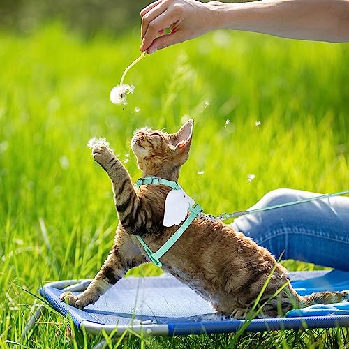Cat Harness and Leash Set (Green)