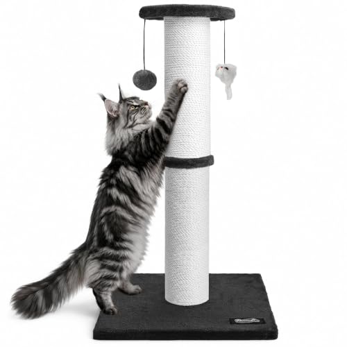 34 Inch Tall Cat Scratching Post for Large Cats (Black)