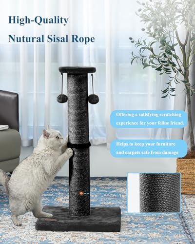 34Inch Tall Cat Scratching Post for Indoor Cats Adults (Black)