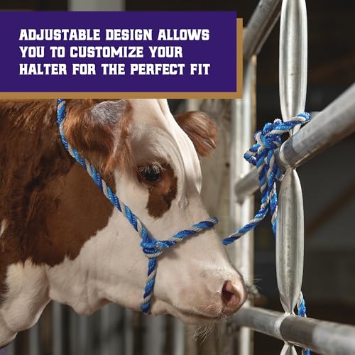 Braided Poly Rope Cattle Halter (Dark Blue/Turquoise/Gray / One Size)
