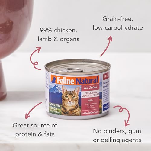 Canned Grain Free High (6 Ounce (Pack of 12))