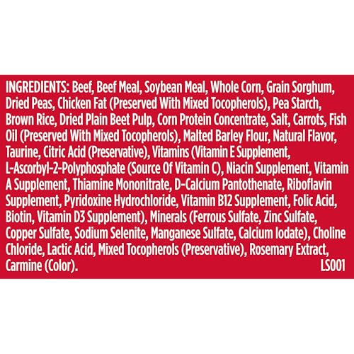 Dry Dog Food Beef (5 Pound (Pack of 1))