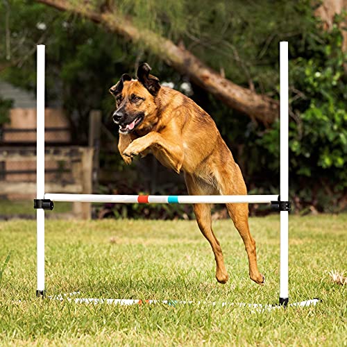 Dog Agility Bar Jumps