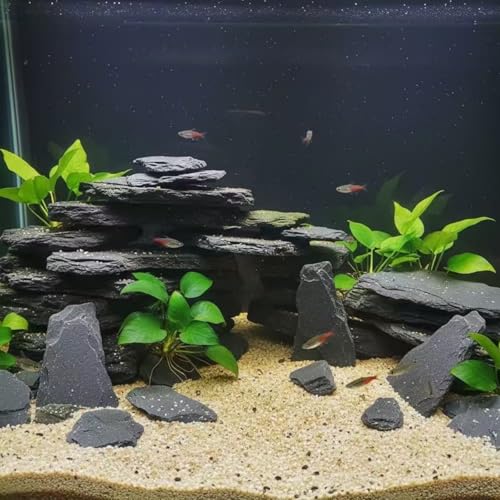 Aquarium Rock Natural Slate Rocks 2 to 6 inch Aquariums Stone for Aquascaping (10lb(2-7''))