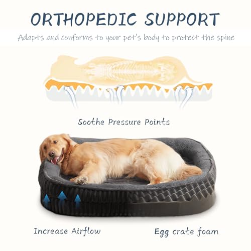 Orthopedic Dog Bed for Medium Dogs Breeds (Dark Gray / 30"L x 24"W x 6.5"Th)