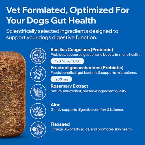 Dog Probiotics For Gut Health
