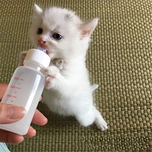 Pet Nursing Bottle Kits Nursing Bottle Kits Replacement Nipple Cat Feeding Bottle for Newborn Kittens