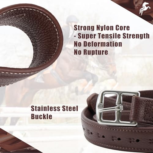 Stability English Stirrup Leathers with Strong Nylon Core for Equestrian Riding (54" / 135cm / Reddish Coffee)