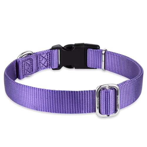 Purple Dog Collar for Large Dogs (Large / Ultra Violet)