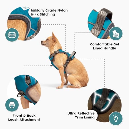 Embark No Pull Dog Harness (M / Blue)