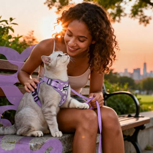 Cat Harness and Leash Set (M / Purr-ple Daisy)