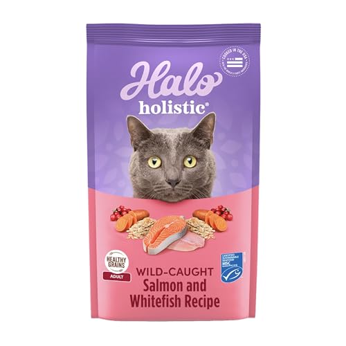 Holistic Dry Cat Food