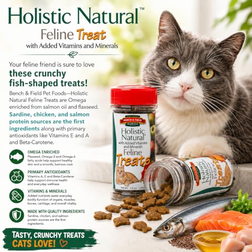 Holistic Natural Healthy Kitty Cat Treats (3 Ounce (Pack of 12))