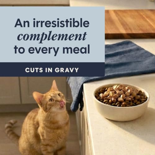 Healthy Cravings Natural Wet Cat Food Topper (3 Ounce (Pack of 12))