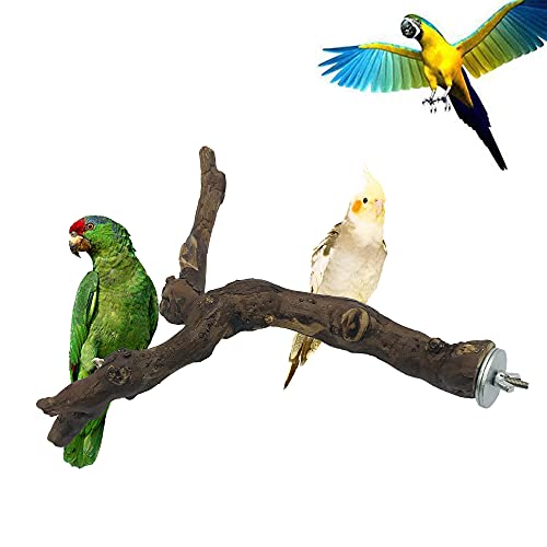 2 PCS Natural Grape Stick Fork Bird Perch Bird Standing Stick Chewing Bird Toys Natural Grapevine Bird Cage Perch for Parrot Cages Toy for Cockatiels (Style 13)