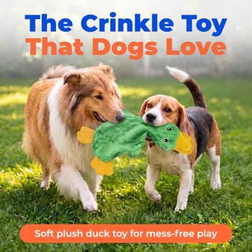 Interactive Squeaky Dog Toy (aCrinkle Duck (Light Green) / Large)