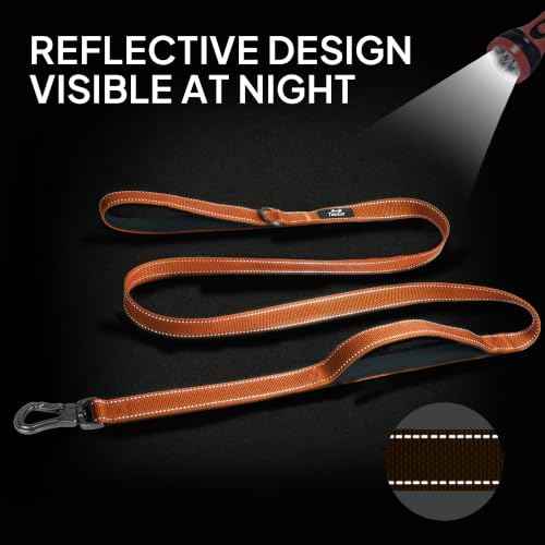 5FT 1IN Heavy Duty Dog Leash for Large Dogs with 2 Padded Handles (Orange / 1 in x 5 ft)