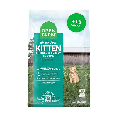 Grain Free Dry Kitten Food (4 Pound (Pack of 1))
