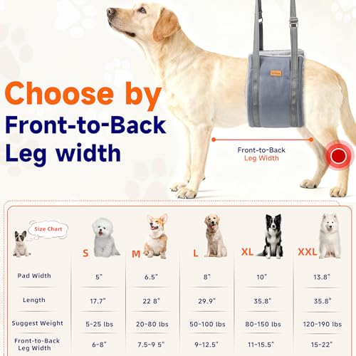 Dog Lift Harness for Large Dogs Adjustable Dog Sling for Back Legs (Grey / X-Large)