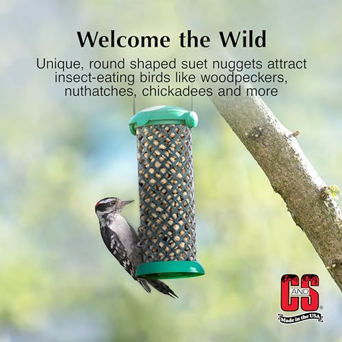 Berry Flavor Suet Nuggets (1.69 Pound (Pack of 1))