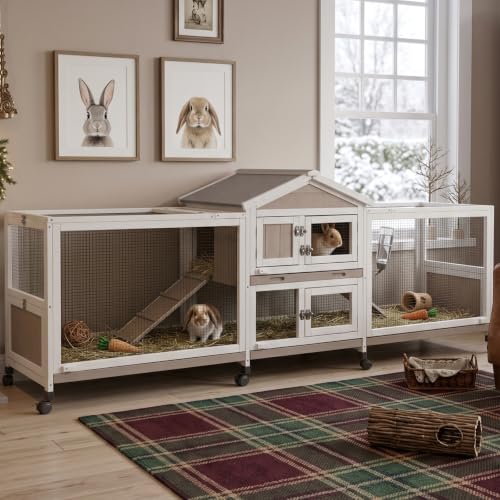 93" L Double Rabbit Hutch with Dual Runs (93.0"L x 22.1"W x 35.0"H)