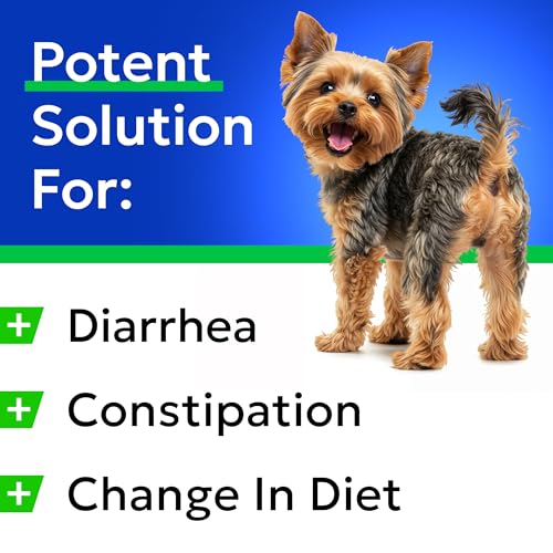 Pumpkin Powder for Dogs (Pumpkin Powder / 8.1 oz (Pack of 1))