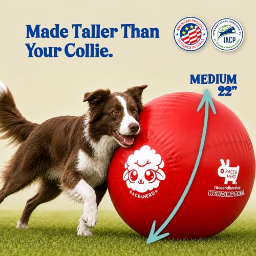 22" Original Herding Ball for Dogs (Cherry - M 22" Herding Ball Set / M 22")