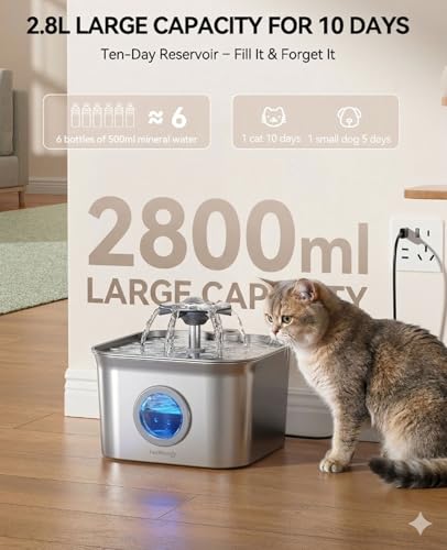 Cat Water Fountain Stainless Steel