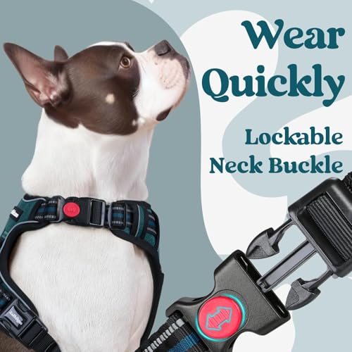 Dog Harness Medium Sized (Medium / Blue Coral)