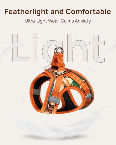Upgraded Cat Harness and Leash Set (Orange King of The Jungle / S)