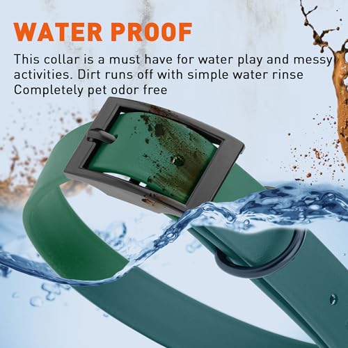 Biothane Waterproof Dog Collar Strong Coated Nylon Webbing with Black Hardware Odor (W1" x L22"-25" / Hunter Green)