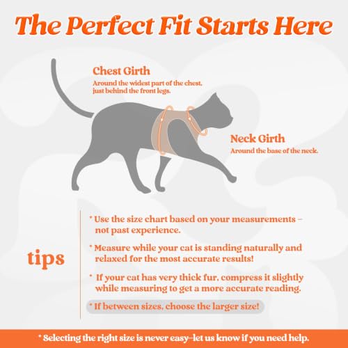 Cat Harness and Leash Set (S / Orange)