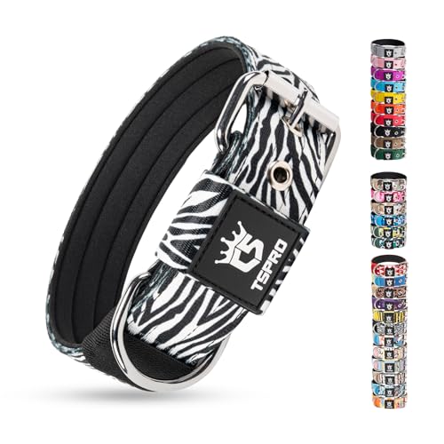 Heavy Duty Thick Dog Collar with Metal Buckle for Medium Dogs (M – Fits Neck 15.8"-18.9" / Classic Zebra Print)