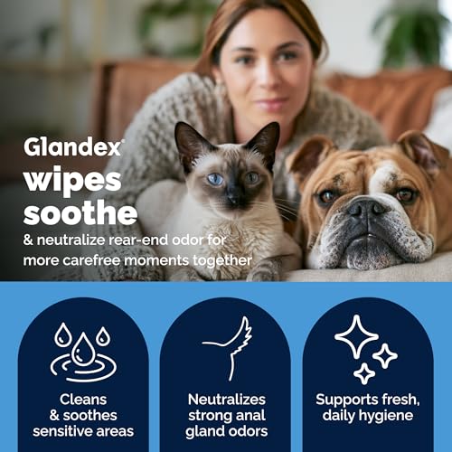 Glandex Rear End Wipes for Dogs & Cats (1 Count (Pack of 100))