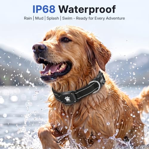 GPS Dog Collar with Tracker (Black / XS(10.5''-13.5''))