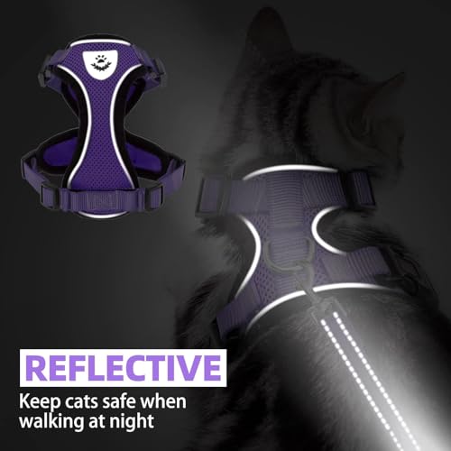 Cat Harness and Leash Set Escape Proof Reflective Cat Walking Harness Adjustable Soft Breathable Mesh Vest for Small Pets (XS (NECK 8.5", CHEST 11"-14") / Purple)