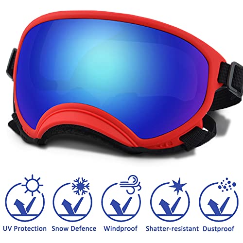 Large Dog Sunglasses