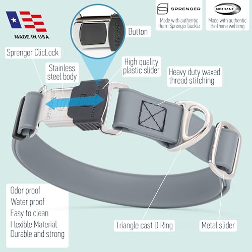 Biothane Waterproof Dog Collar with Herm Sprenger Black Stainless Steel Quick Release Buckle (W 1" x L 15"-25" / Battleship Gray)