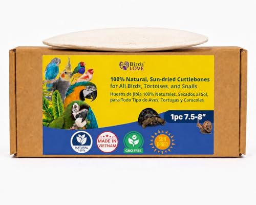 7.5 8" Cuttlebone for Birds (1 Count (Pack of 1))