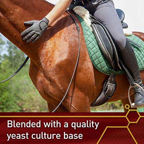 Pro E & Selenium Supplement for Horses (320 Day Supply, 20 Pound)