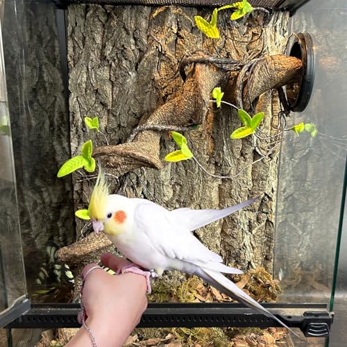 2 PCS Bird Cork Perch Stand (Wood / 30 x 30cm)